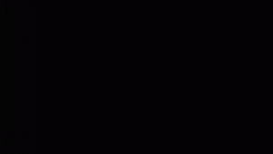 web solutions animated logo